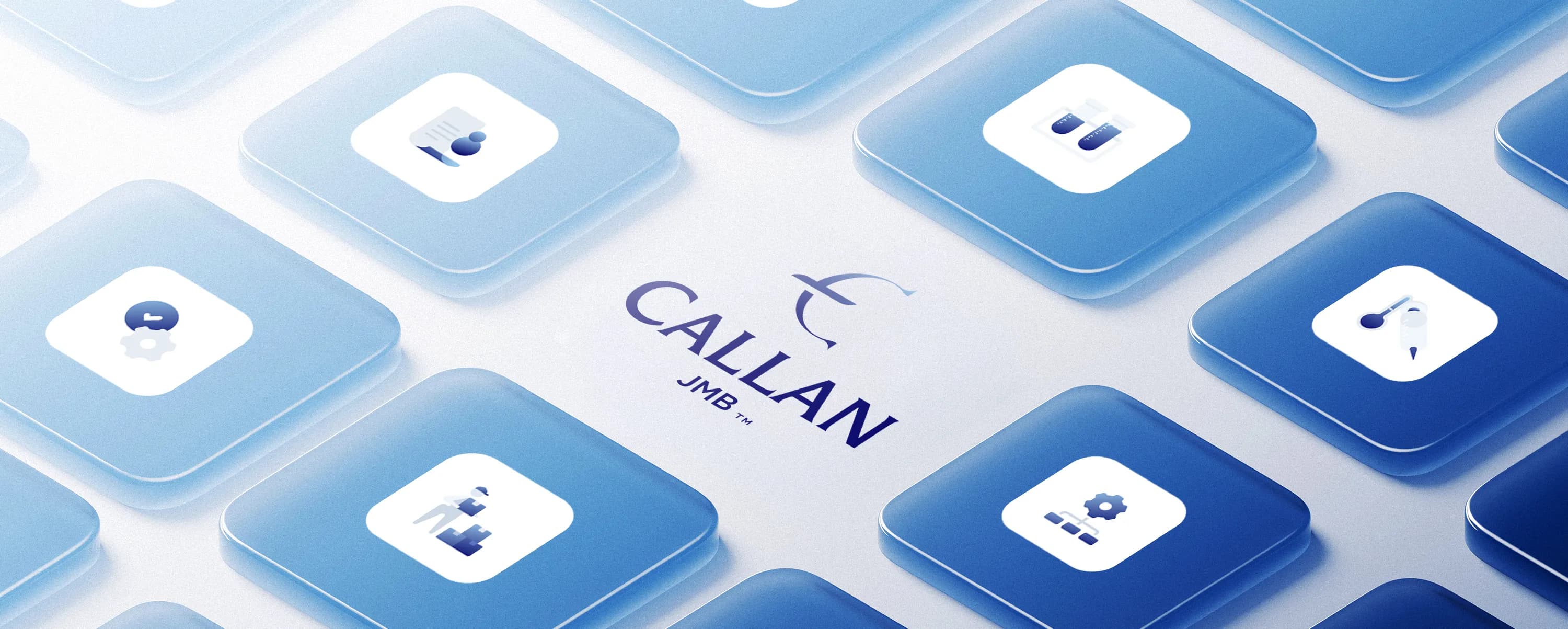 Callan JMB operational infrastructure ecosystem